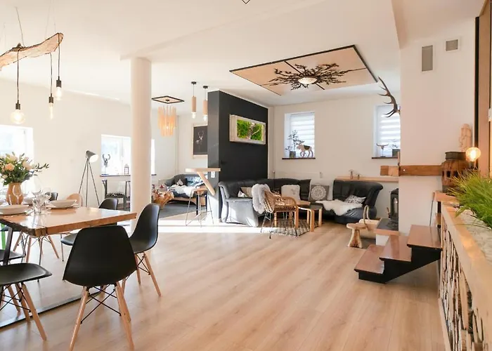 Folkowy Dom Dla 14 Osob Z Sauna I Grillowiskiem - Dream *