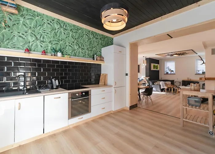 Folkowy Dom Dla 14 Osób Z Sauną I Grillowiskiem - Dream *