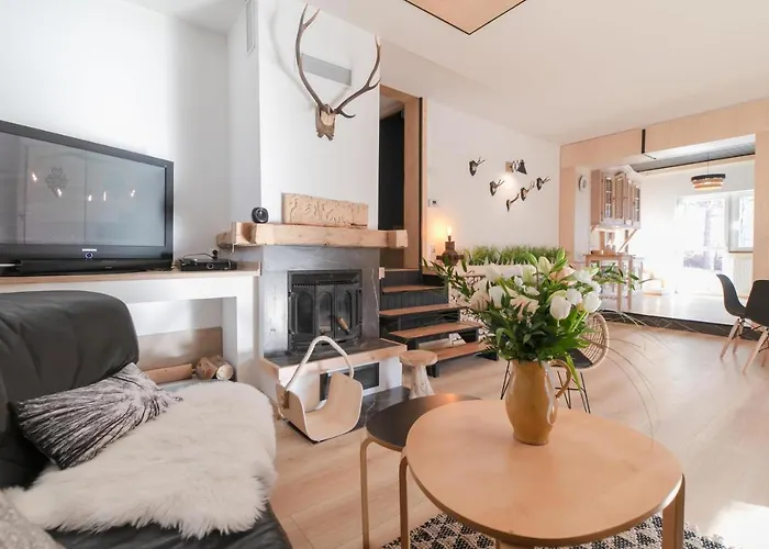 Folkowy Dom Dla 14 Osob Z Sauna I Grillowiskiem - Dream *